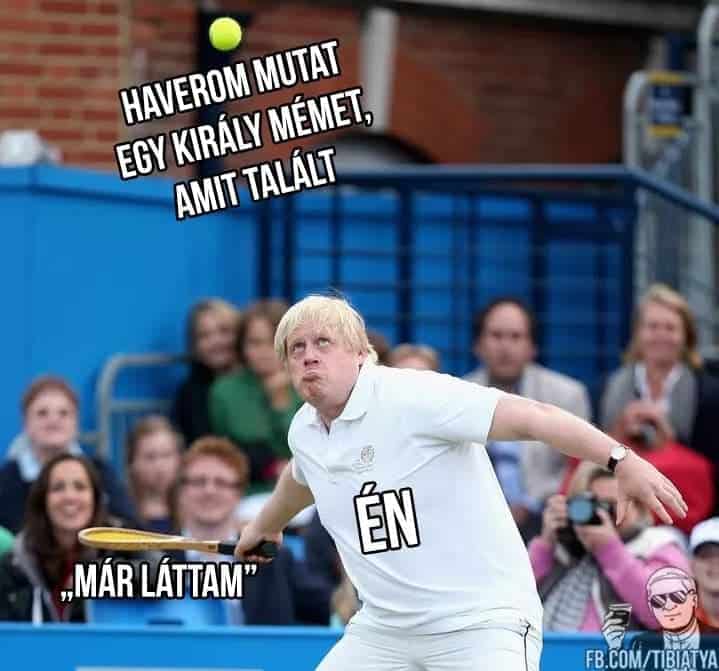 a mémek pszichológiája