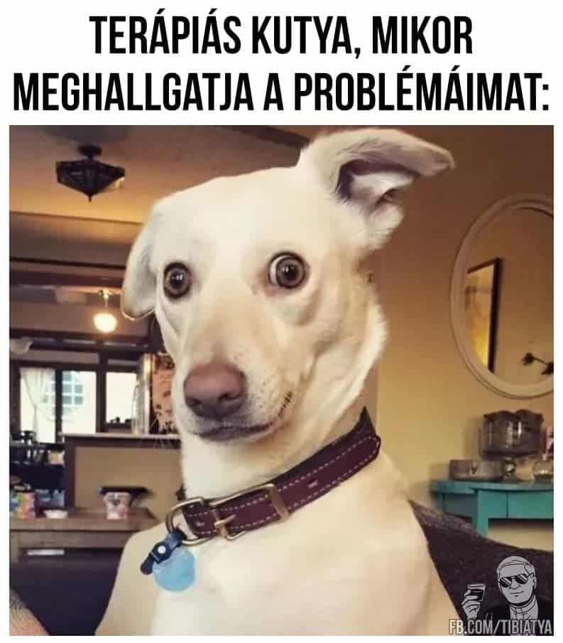 a mémek pszichológiája