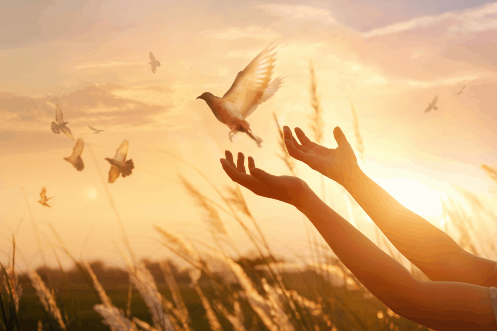 buddhizmus és pszichológia