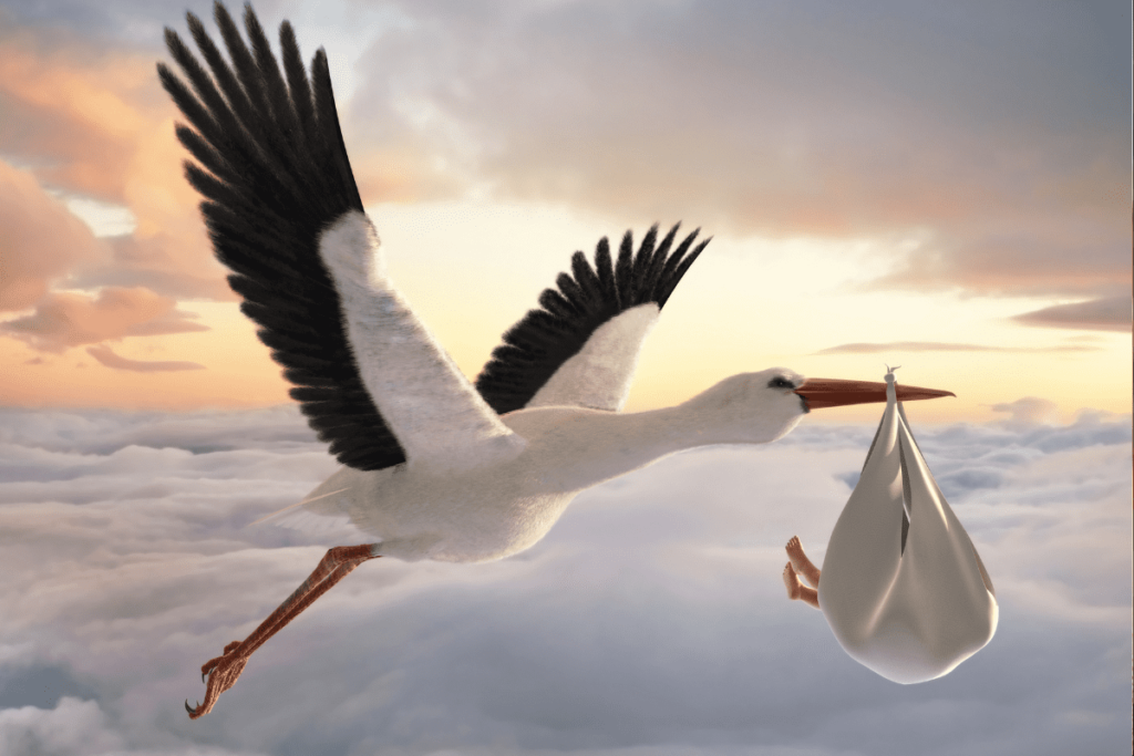 szexualis-erdeklodes-ovodaskorban-5