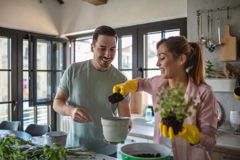 szobanövények jótékony hatásai