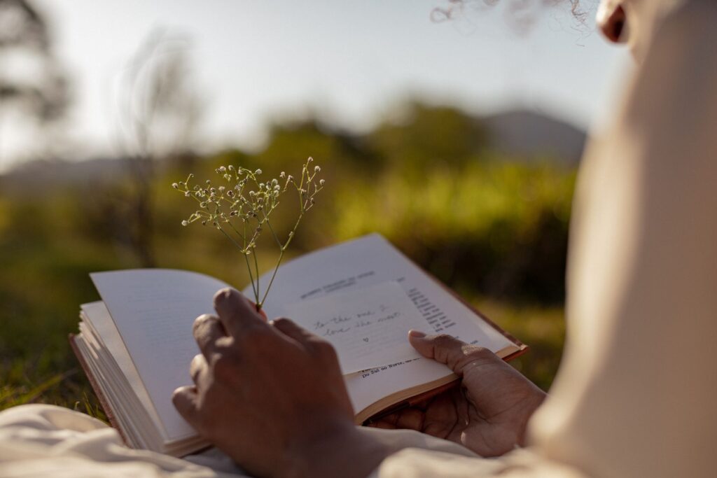 hálanapló - könyv a természetben